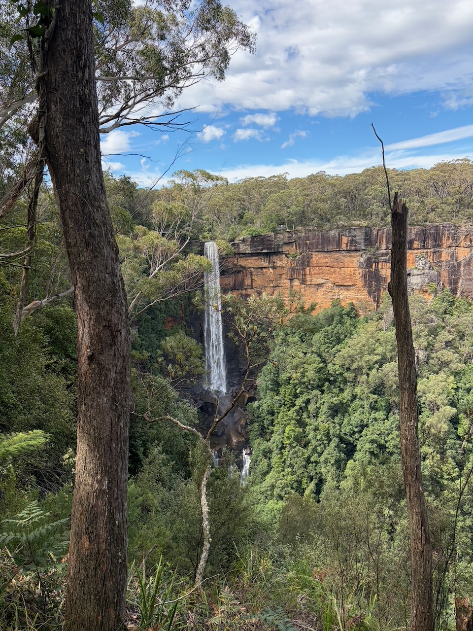 Fitzroy Falls dropping from sandstone cliffs into a green valley.