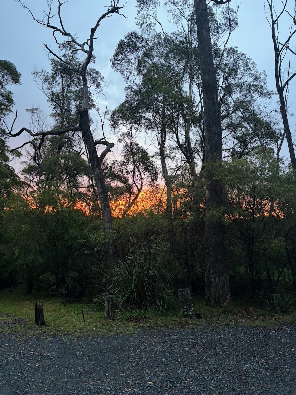 First evening at Killalea with the campsite set up near the beach.