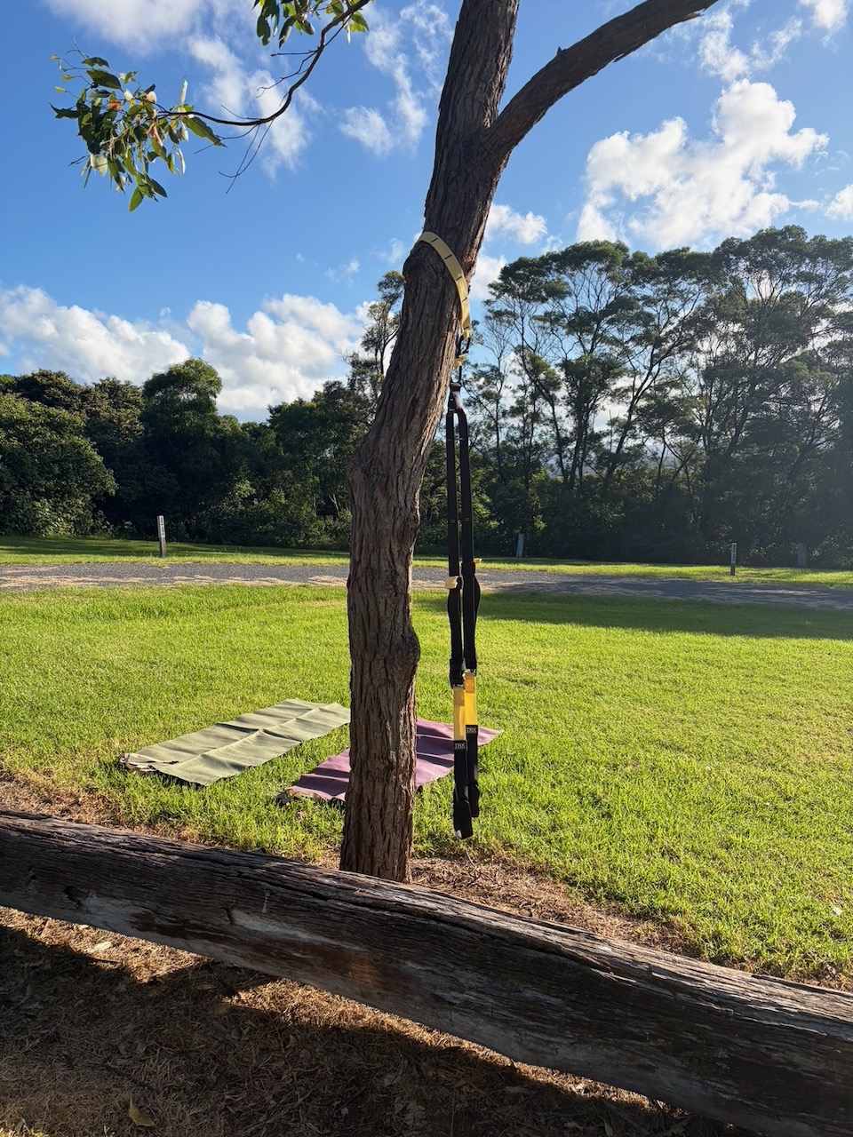 TRX straps hanging from a tree at the Killalea campground.