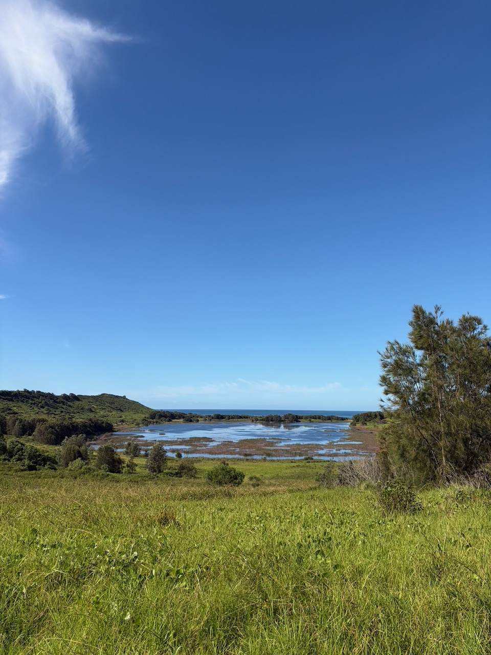 Killalea Lagoon viewed from a grassy hill with the ocean in the distance.