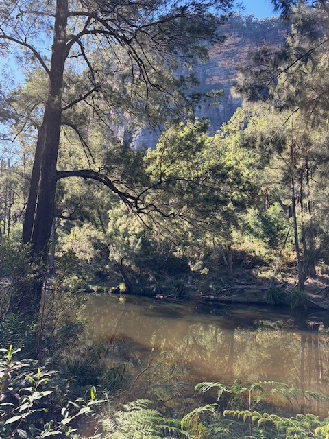 The Capertee River at Coorongooba, calm and dark, with sandstone cliffs and tall trees reflected in the water.
