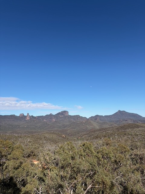A wide panoramic view of the Warrumbungle National Park rock formations rising above scrubland under a deep blue sky.